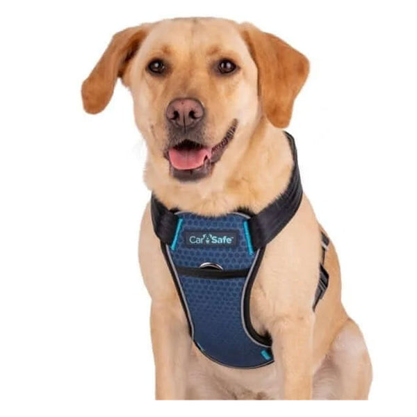 CarSafe Crash Tested Harness for Dogs