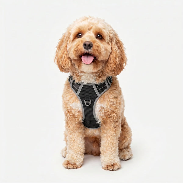Fur King Ultimate No Pull Dog Harness