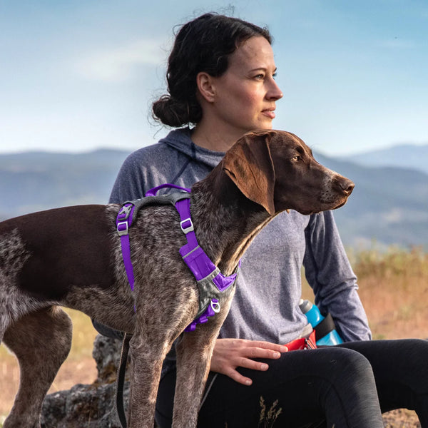 Kurgo Journey Air Dog Harness