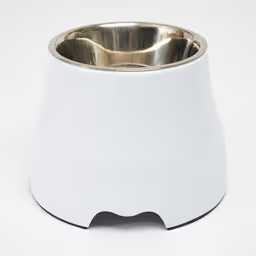 Paws for Life Elevated Dog Bowl White