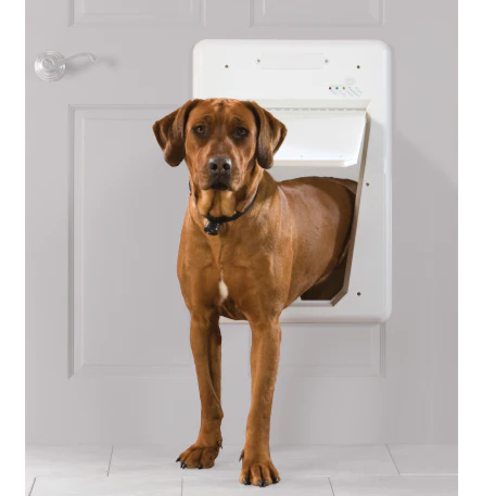PetSafe Electronic Pet Door