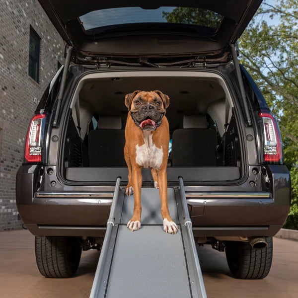 PetSafe Happy Ride™ Compact Telescoping Dog Ramp