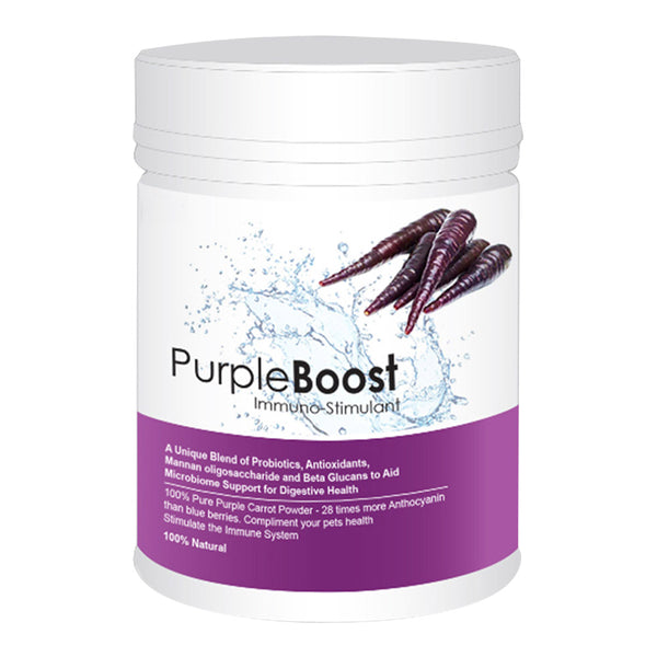LifeWise Purple Boost Health Supplement