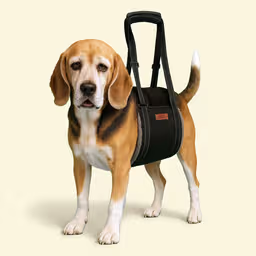 Steady Paws Rear Lift Support Padded Dog Harness