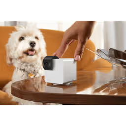 Petcube Cam 360 Pet Monitoring Camera